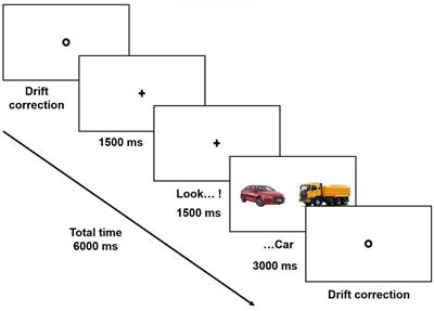 Lexical-semantic processing in preschoolers with Developmental Language Disorder: an eye tracking study